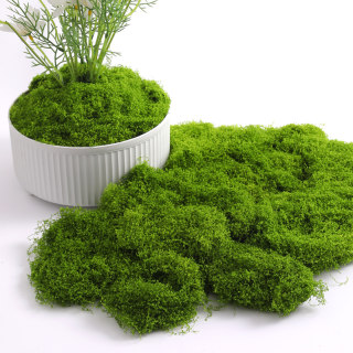 Simulated moss turf lawn landscaping decoration