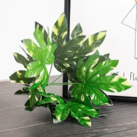 1 Бентианский кленовый лист 1