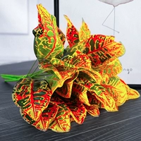 1 серого макулярного красного воробья листья