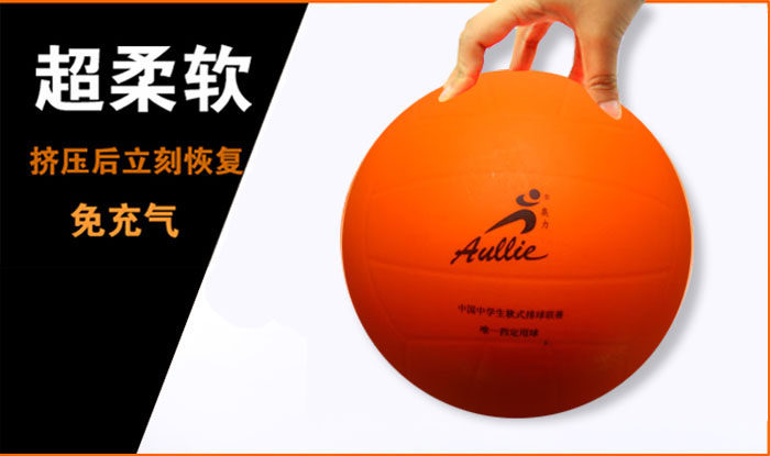 Ballon de volley-ball - Ref 2011089 Image 6