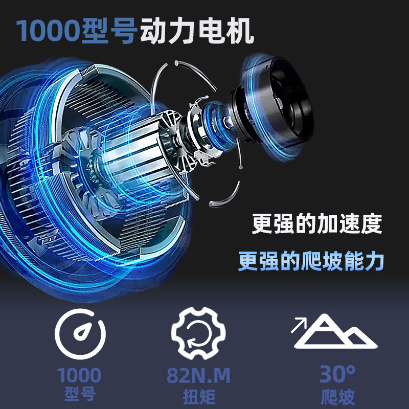 Phoenix National Standard Off-Road Variable Speed Mountain Bike Wide Tire Snow Super Motorcycle Power-Assisted Electric Bike 73