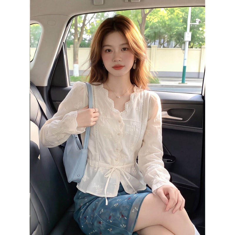 French-Style Lace Embroidery Long-Sleeve Shirt for Women, Autumn Design, V-Neck, Elegant Blouse, Korean-Style, Waist-Cinching, Slimming Top