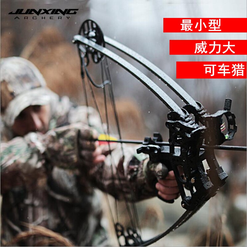 Military Rise Night Eagle Composite Pulley Bow Suit Outdoor Shooting Sports Small steel Pearl River Everest Everest Arch Arrow