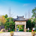 温汤明月山特产