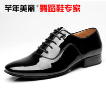 Mens Latin Dance Shoe Mens Ballroom Dancing Shoes Square Dance Shoes Genuine Leather Soft-bottom Practice Shoes International Dance Shoes Man