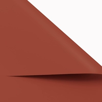 Запретный город красный