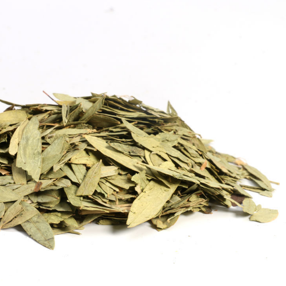 The Lagoon Leaf 5 Cati Lafoliata Leaf Lafoliata Leaf of the Chinese herbal medicine supply 500g grams