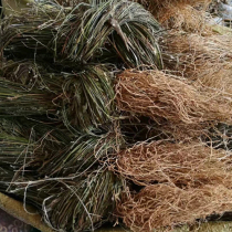 Liao Diao bamboo whole grass 2kg Liao Diao bamboo Xu Changqing root whole grass 500g G G 15 yuan Chinese herbal medicine