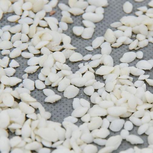 Fish brain stone fish first stone 500g grams of RMB60  Chinese herbal medicine primary agricultural products