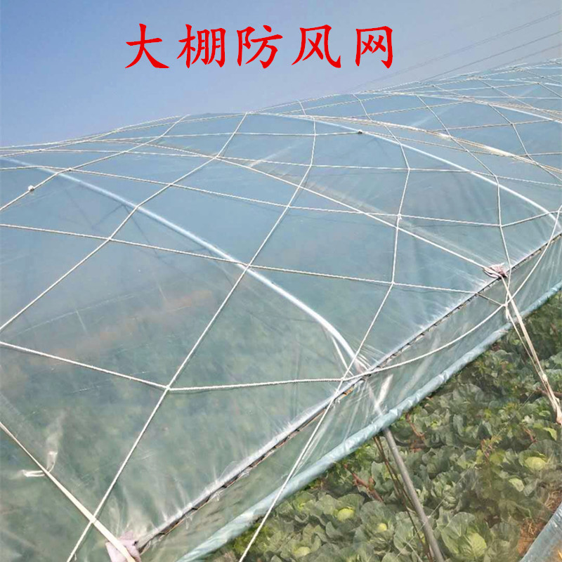 Goods cultivation Cultivation Greenhouse Windproof Net mesh Nylon Mesh Macroporous Press Membrane Coarse Rope Mesh Wind Shield Net Shelter Net