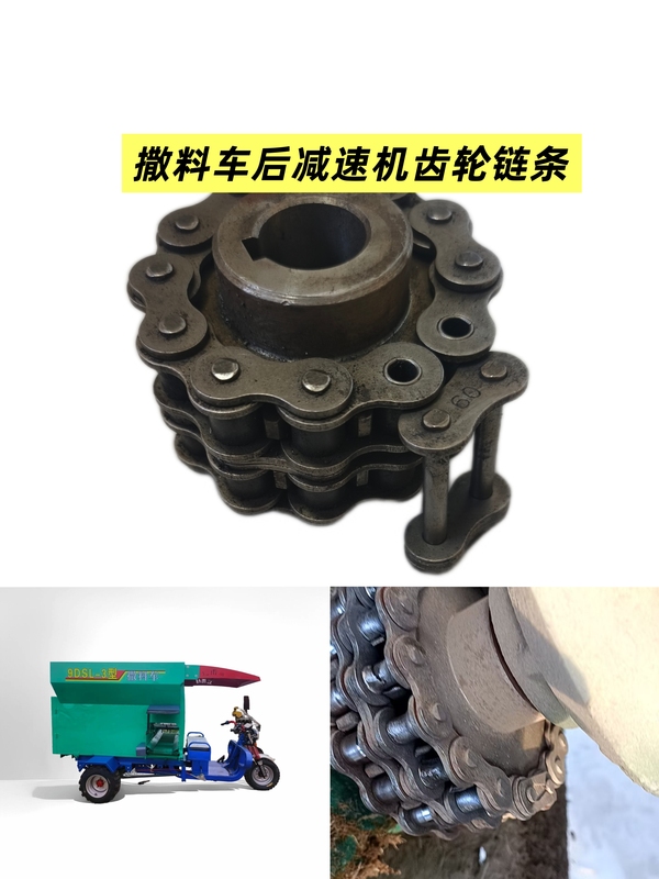 Gear Chain for Rear Reducer of Feed Spreading Truck, Electric Three-Wheel Feed Spreading Truck Parts for Livestock Breeding Gear Chain for Rear Reducer of Feed Spreading Truck, Electric Three-Wheel Feed Spreading Truck Parts for Livestock Breeding