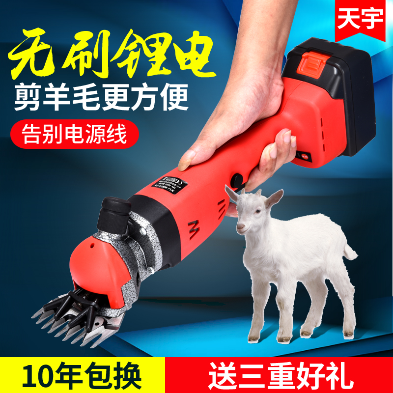 Tianyu new imported electric wool Scissors Scissors wool electric clipper Lithium electric charging Wool machine blade
