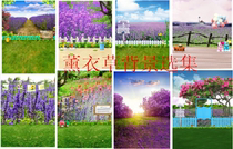 Studio background Natural scenery childrens wedding theme photography background cloth lavender photo background background paper