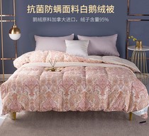 Ferschers antibacterial and anti-mite fabric white goose down by 95% white goose down Canada imports goose down oriental cj