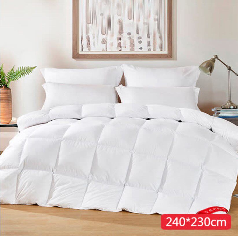 ESPRIT Zhen U White Goose Down Spring Autumn Quilt Cover Group 95 White Goose Down Oriental Cj Shopping
