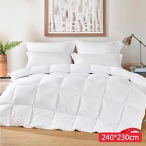 ESPRIT Zhenyou white goose down Spring and Autumn quilt cover group 95 white goose down Oriental CJ Shopping
