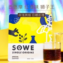 Minato taste Ethiopia Dharma Guji Tropical Fruit Berry Red wine Lion King boutique hand-washed coffee beans 227g