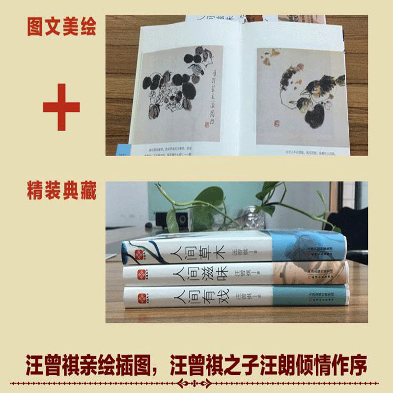 汪曾祺作品集 《人间草木+人间有戏+人间滋味》 精装3册 图3