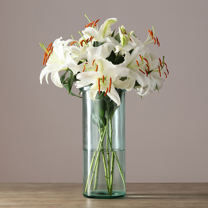 Gale imported from Spain Nordic simple long straight thickened glass decorative vase flower arrangement