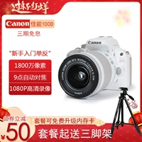 Новый Canon EOS 100D 600D 700D 750D вход SLR -High -Definition High -Definition Travel Digital Camera