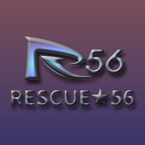R56厂家自营官方企业店