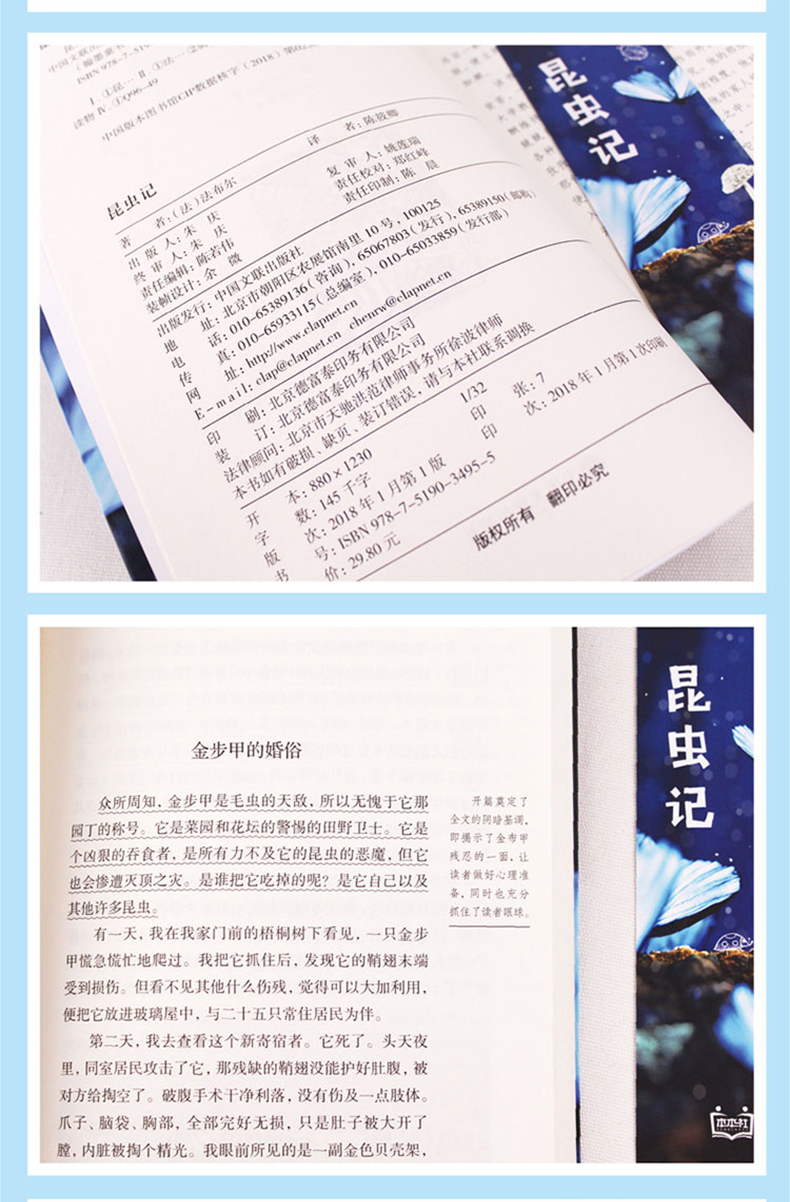 昆虫记 新课标必读名著书籍 图6