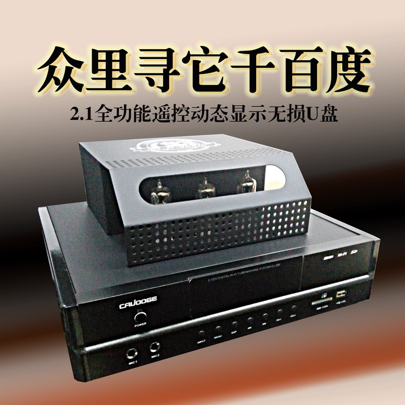 2 1 Low tone gun bile machine hifi biliary front stage full remote control Bluetooth singing K vacuum tube Mini desktop power amplifier DJ200