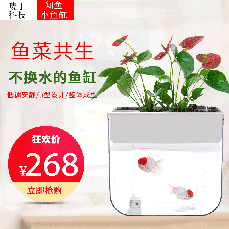 Zhiyu Fish Tank Creative Ecological Fish and Vegetable Symbiosis Free Water Change Home Office Mini Small Fish Tank Living Room Aquarium