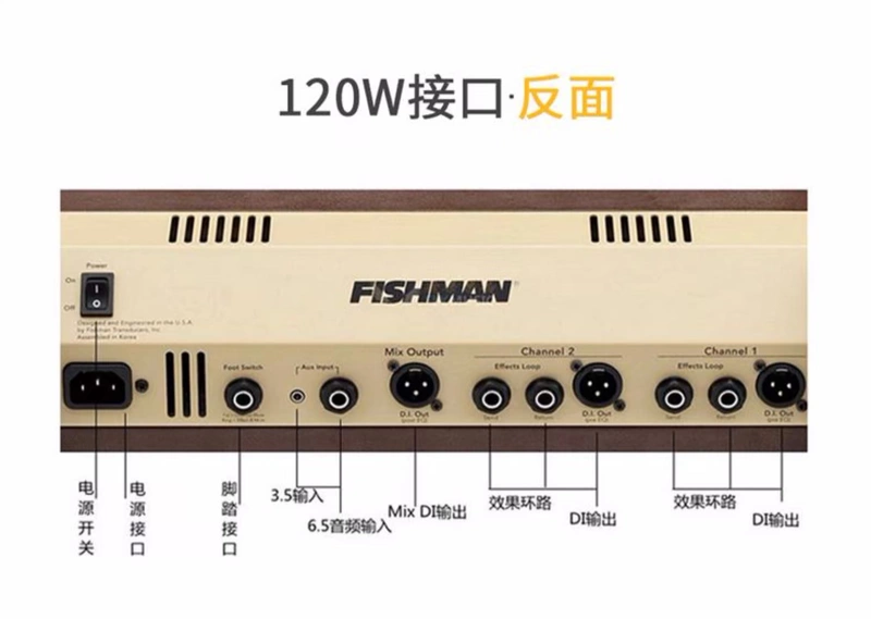 Ngư dân Fishman Loa Lớn mini 60W Đàn guitar acoustic dân gian chơi sạc loa violin - Loa loa