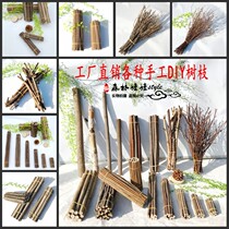 Dried Branch Pine Cone Branch decoration wooden stick kindergarten manual intellectual environment creation DIY handmade material