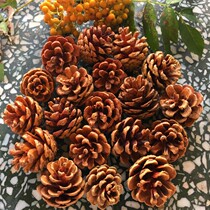 Pure natural pine cone pines Lotus dried flowers local fish scale pine decoration shooting auxiliary props ornaments nine-character nails
