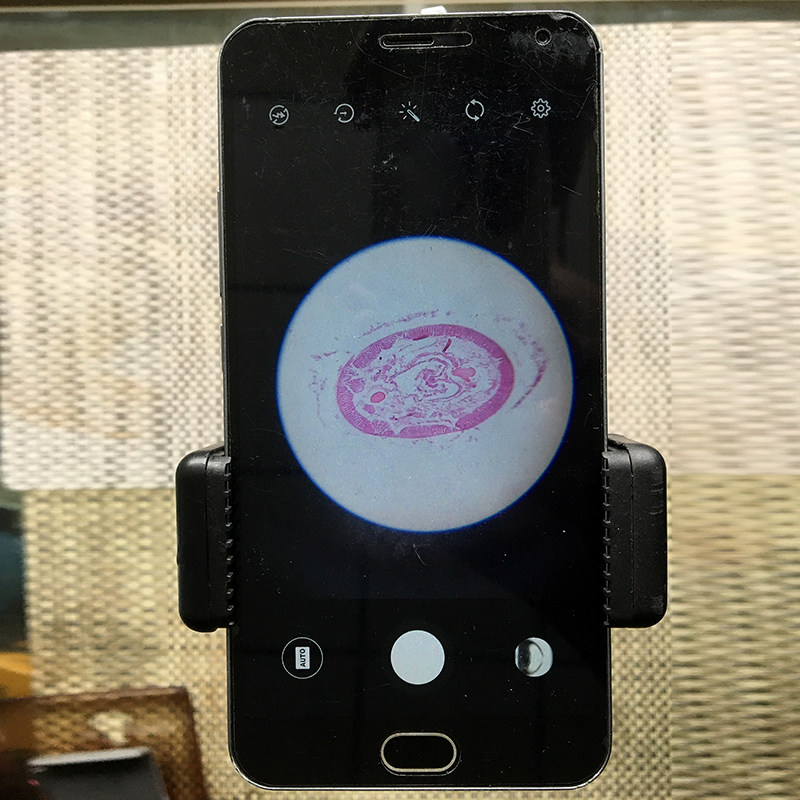 Phone frame photo convenient for microscope students use f8c13e38-7 for scientific experiments