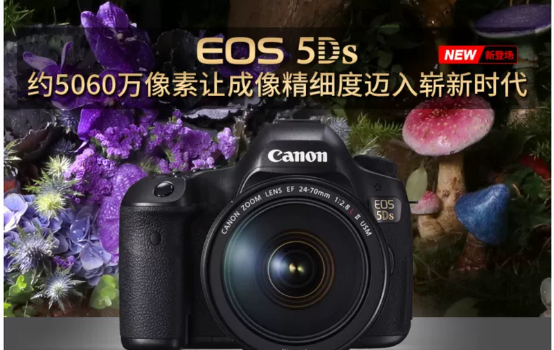 Máy ảnh Canon DSLR có thể thay thế Máy ảnh 5DS Thân máy ảnh EOS 5Ds Đơn thân 5DS Toàn khung Đơn vị - SLR kỹ thuật số chuyên nghiệp máy ảnh sony a7