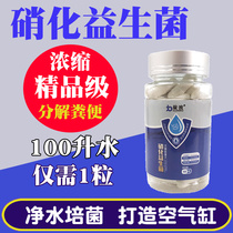 Nitrifying Bacteria Capsule Fish Tank Turtle Tank Active Digestive Bacteria Water Purification Stabilizer Aquatic Live Bacteria Dry Powder Powder
