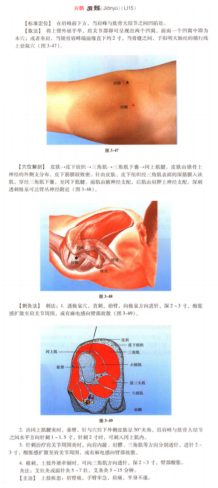 肩髃.png