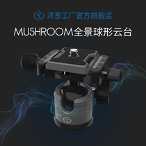 Onion Factory MR28 Spherical gimbal Low center of gravity SLR camera tripod Panoramic telephoto lens Photography and video