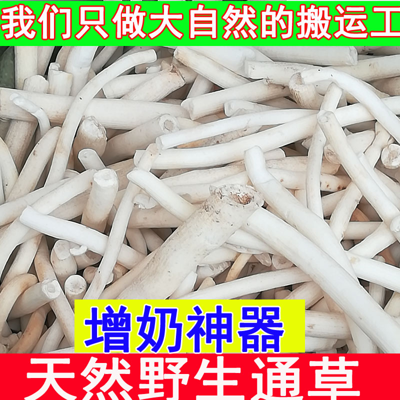Datong grass Chinese herbal medicine Tongaoxin milk through milkweed with milk water lower milk open milk postpartum lactation period 100 gr-Taobao