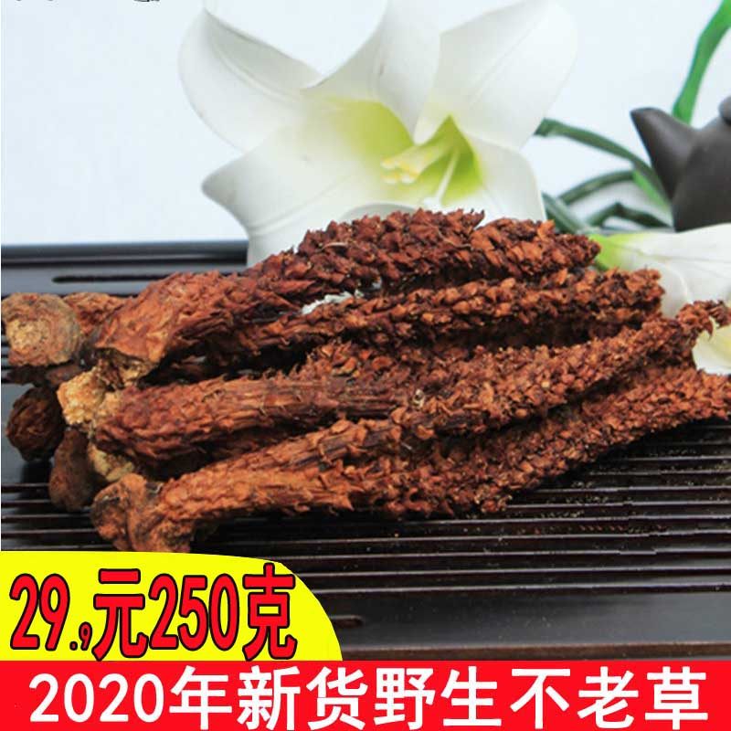 Rejuvenation grass wild immortal grass 250 grams of grass cistanche soaking wine cooking soup ingredients listed as bubble tea Changbai Mountain immortal grass