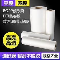 Film-covering machine BOPP PET anti-roll pre-coated film bright light film matt film 1 3 inch core heat mounting film 1000 meters