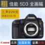 Cho thuê máy ảnh Canon / Canon 5d3 cho thuê máy ảnh DSLR 5D Mark III - SLR kỹ thuật số chuyên nghiệp máy ảnh canon 800d