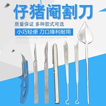 Pickled Pig Knife Glitter Pig Knife Castration Pig Knife PIG KNIFE CUT PIG KNIFE FULL SET FAN PIG KNIFE FLOODED LIVESTOCK TOOLS PIGGY PIGLETS