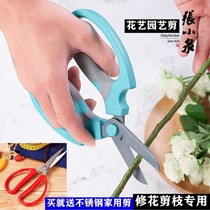 Zhang Koizumi Chunyue Flower Art Scissors Home Pruning Flower Branches Flowers Dao Flowers Scissors Garden Artificio Florist Flower Arrangement Tools