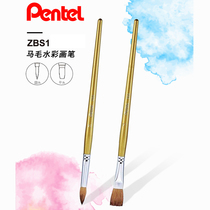 Japanese Pentel paitong ZBS1 horse mane round head watercolor pen gouache pen gouache brush