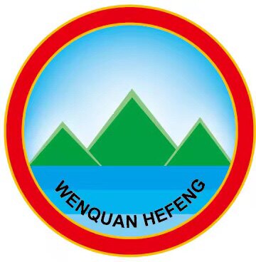 汶泉合丰玩具制品的LOGO