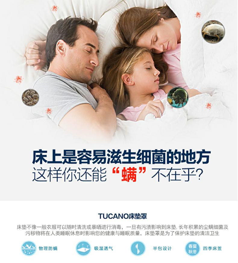 Giường cotton Tấm bông đơn Simmons bảo vệ dày lên chống trượt mỏng nệm màu nâu trải giường 1,8m trải giường Ga chun và ga phủ