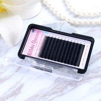 Natural Slightly Teething Baby Bend Graft Cultivation Fake Eyelash Men Generic Eyelash Straight Hair 10 Degrees Single Eyelash
