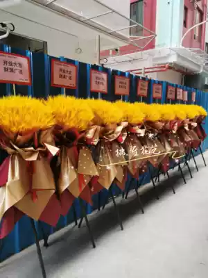 Shenzhen Tongcheng Luohu Futian Nanshan Baoan Longhua Dry Flower Barley Wheat Spike Balloon Korean Opening Flower Basket