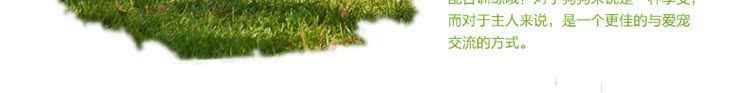 Nike Wicker chó ăn nhẹ huấn luyện chó pistachio 100g thành chó con thức ăn royal canin cho chó