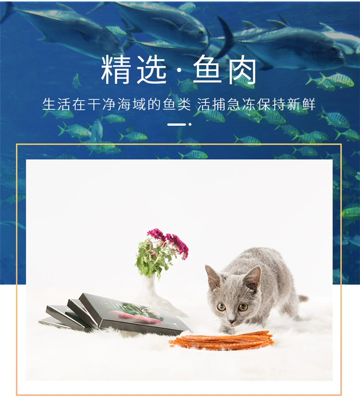 Dải thịt mèo [4 hộp] mèo ăn nhẹ mèo với dải mực cá ngừ dải thịt cá nhỏ mèo khô - Đồ ăn nhẹ cho mèo