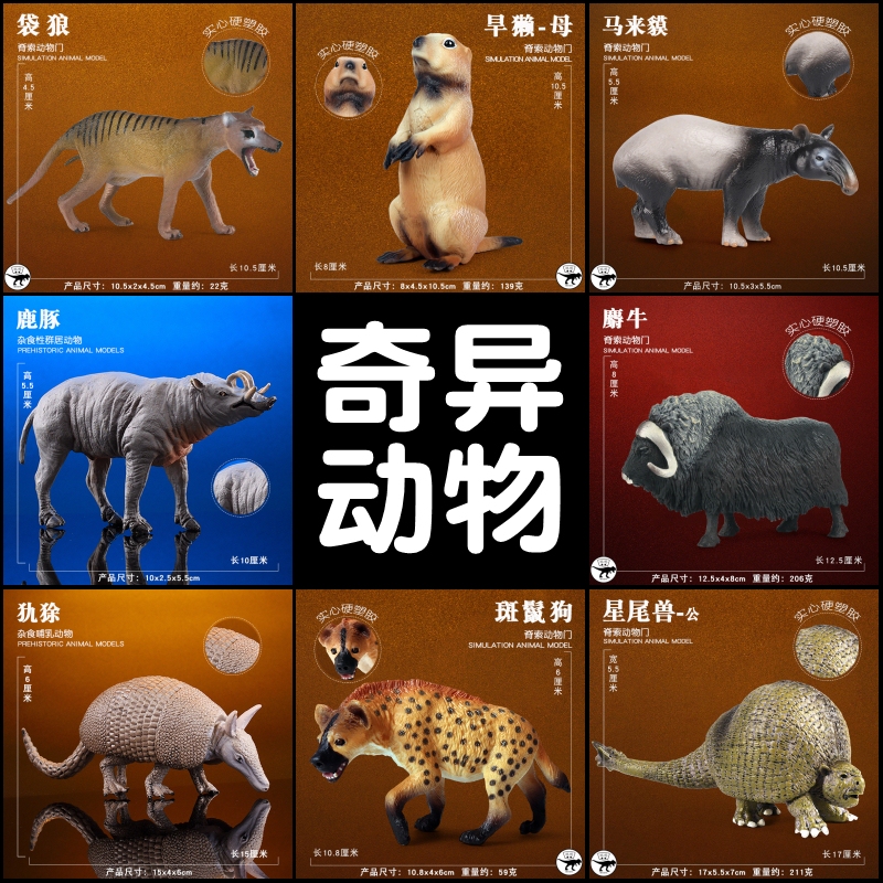 Children's Realistic Animal Toy Model Set: Exotic Zoo Animals Such as Wild Crocodiles, Orangutans, Groundhogs, Lizards, Bears, and Leopards